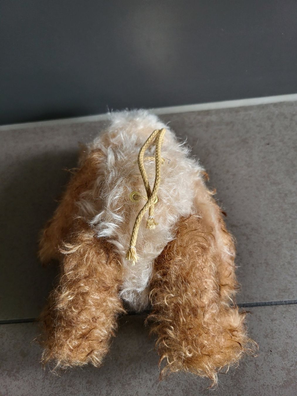 Steiff Giocattoli: Steiff Teddy – Nuovo (secondo la descrizione) da Zürich venduto da Orchidee 3