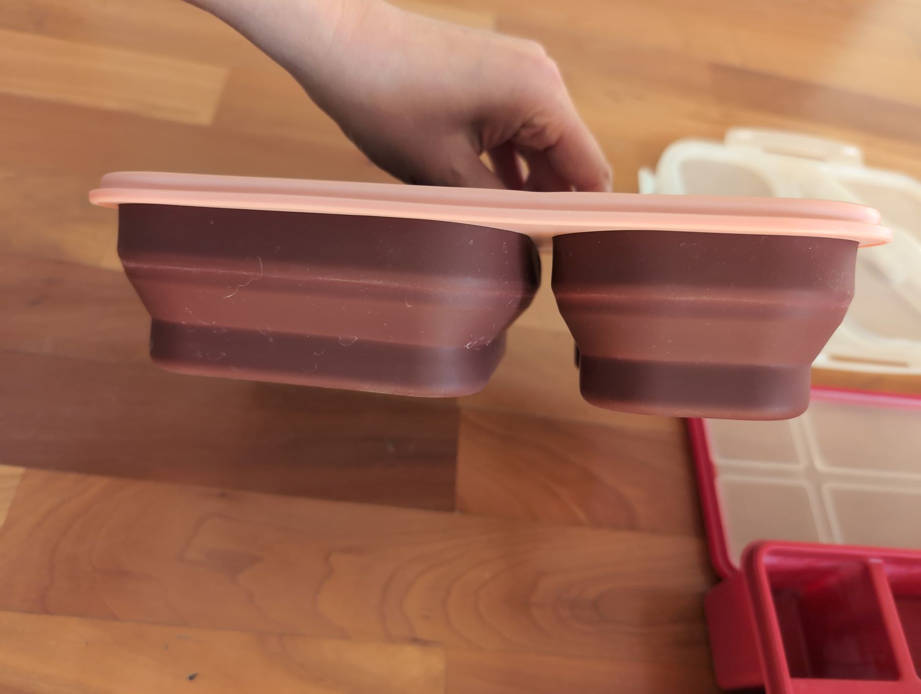 Contenitori & Simili: Lunchbox set - silicone & BPA-free – Usato da Glis venduto da livespringly 5