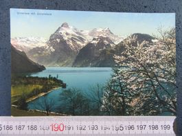 URNERSEE MIT URIROTSTOCK FRÜHLING URI AK