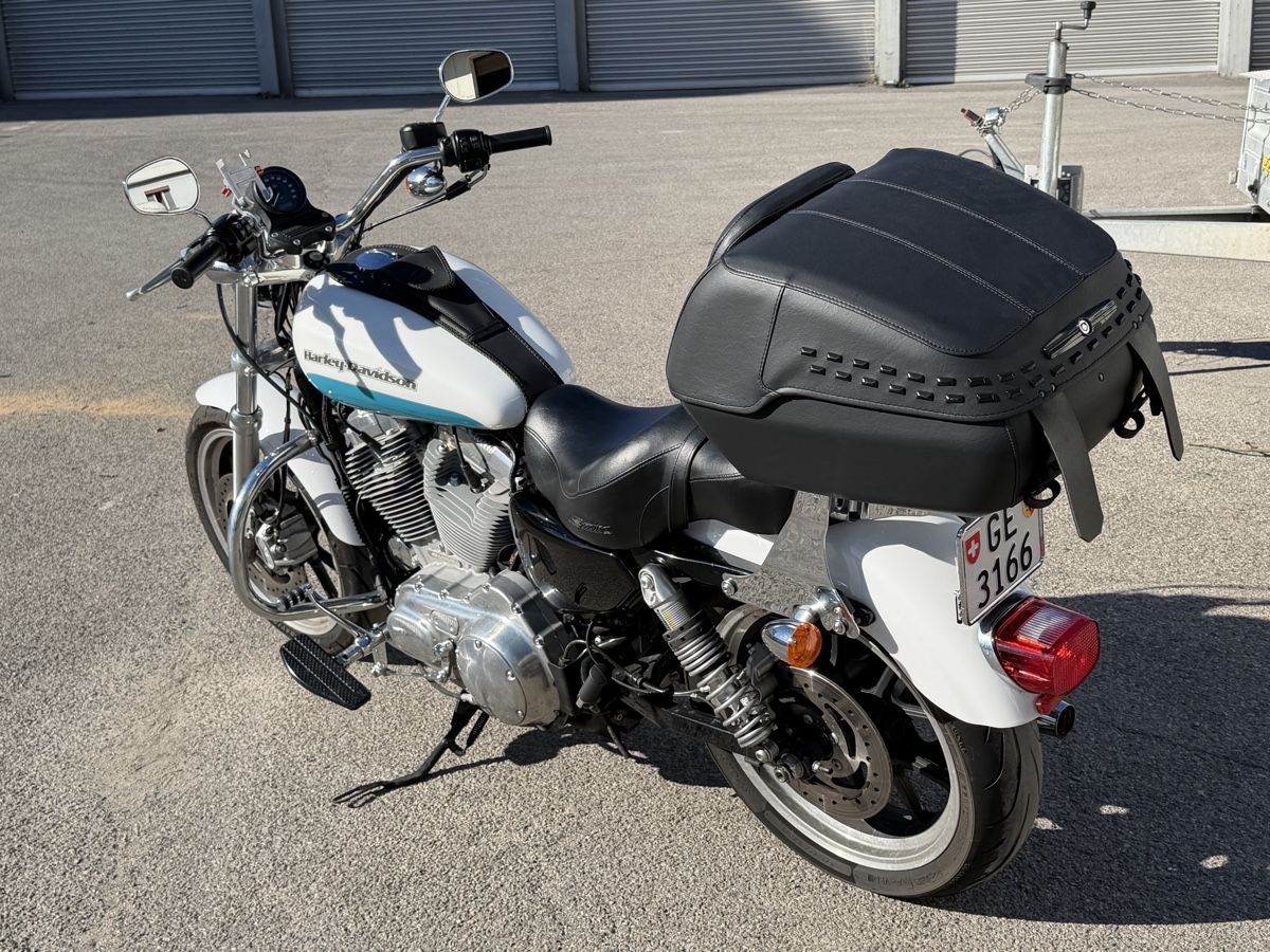 Harley-Davidson Chopper: Harley Davidson 883 2015 – Usato da Grand-Lancy venduto da Jojo6466