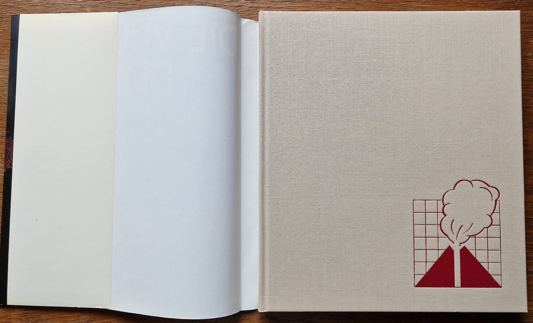 Libri: Die Vulkane der Welt – Usato da Röthenbach i. E. venduto da Heureka5 1