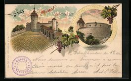 Litho Schaffhausen, Gruss vom Munot, Wei