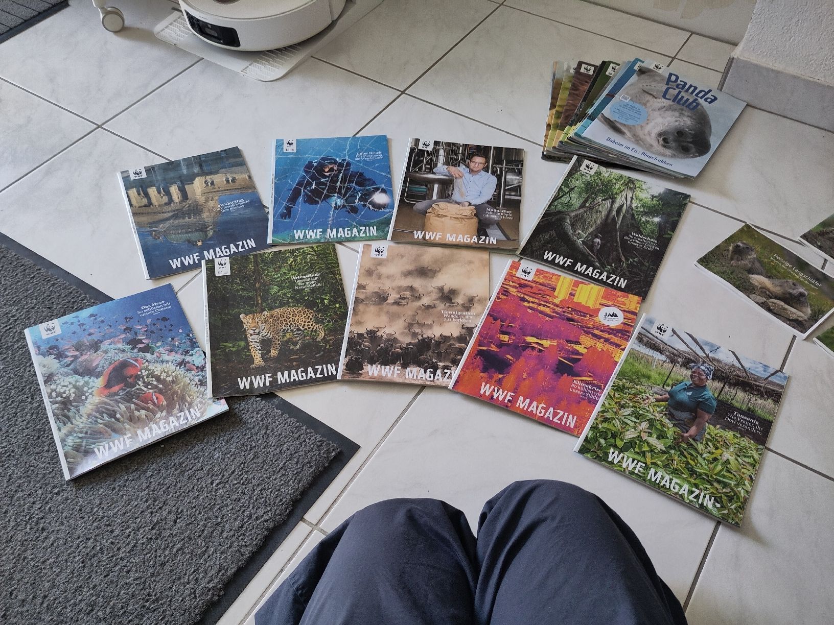 Zeitschriften & Magazine: WWF Panda Club & WWF Magazine – Gebraucht aus Dettighofen Lengw. von mai_75wt 4