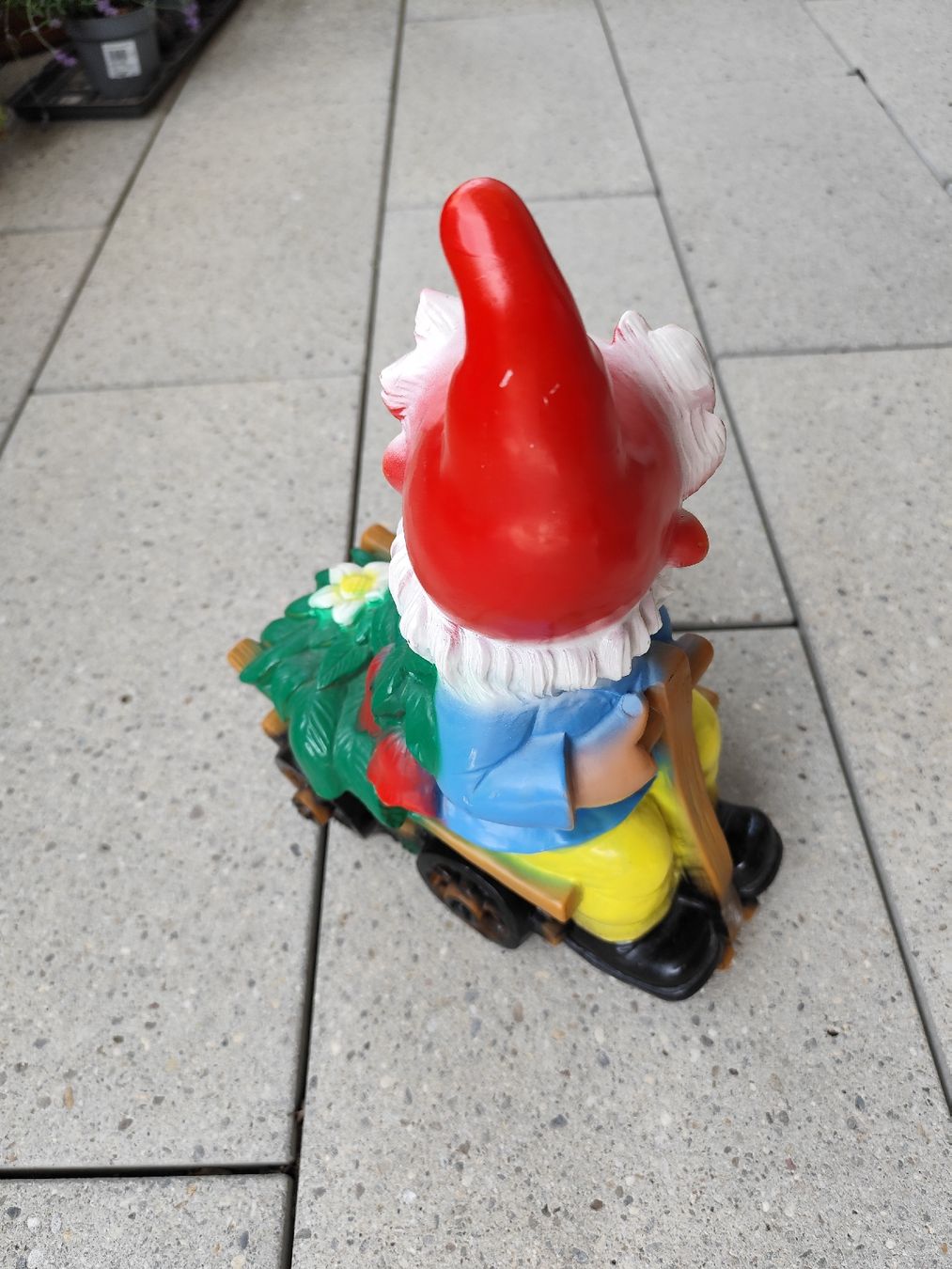 Statuette: Gartenzwerg neu  – Nuovo (secondo la descrizione) da Grossdietwil venduto da bie_2bn5 1