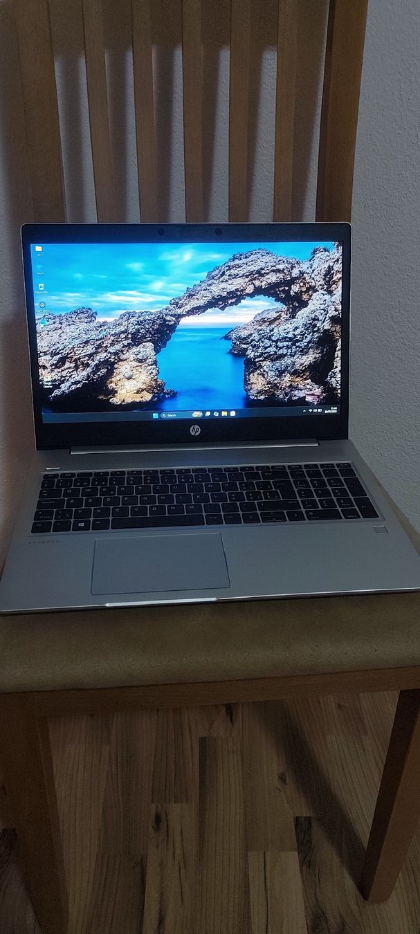 Hewlett Packard Notebook: HP PROBOOK 450 G7 – Usato da Pedrinate venduto da ipe_bgt7 2