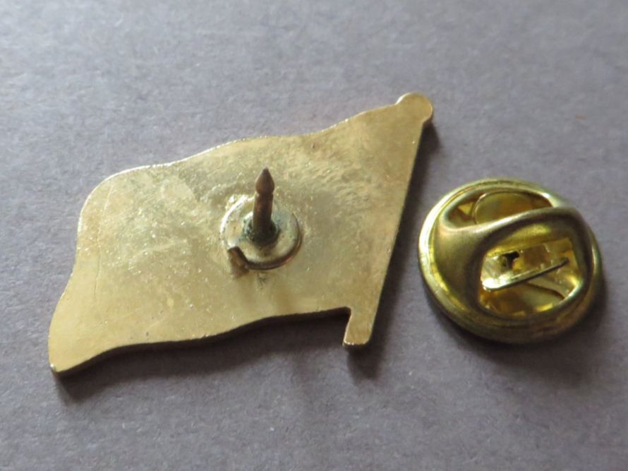Placchette & Badge: PIN, LÄNDER FLAGGE NORWEGEN – Usato da Neuhausen venduto da luckimucki 1
