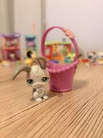 Lapin Littlest Pet Shop
