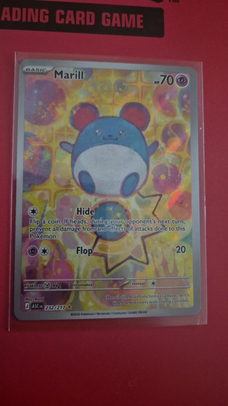 Pokémon Cartes à collectionner: Marill #232 ASC (en) – Neuf (Voir description) à Hünenberg See par jos_d7d8
