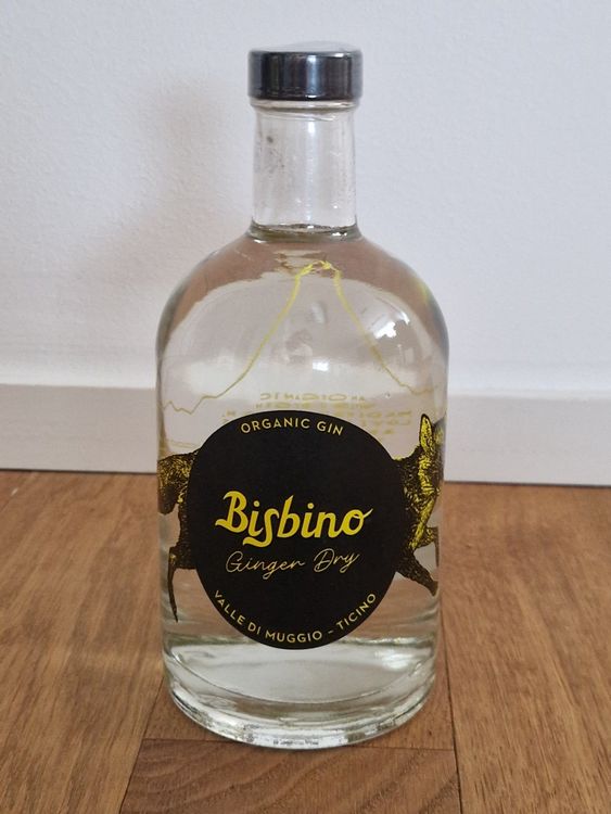 RICARDO GIN S BIELSA visual data 4