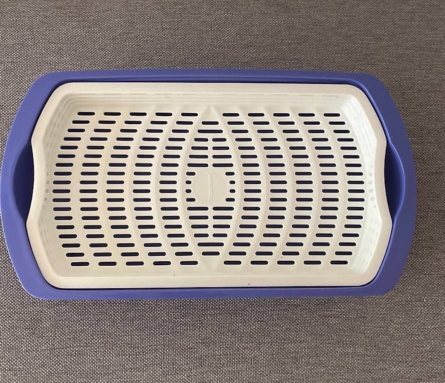 Contenitori & Simili: Tupperware Four Seasons Lunchbox  neu – Usato da Künten venduto da Gubapri 1