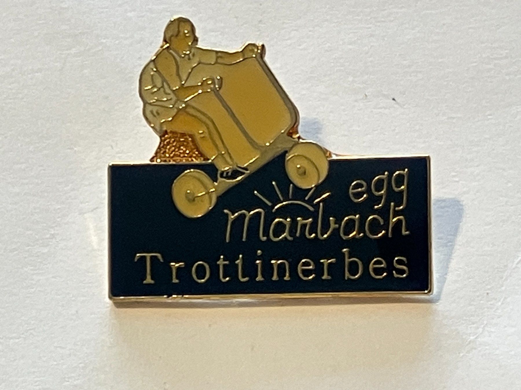 Placchette & Badge: 1 Pin Marbach Egg Trottinerbes – Usato da Basel venduto da djwwpp