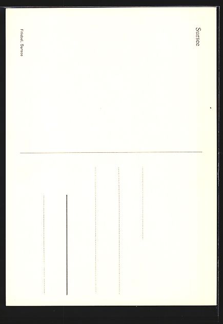 Cartes postales: AK Sursee, Panorama vom Glockenturm aus – D'occasion à Berlin par bartko-reher 1