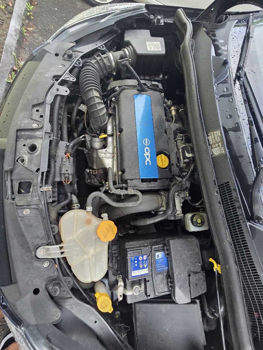 Opel Automobili: Opel Corsa opc 1.6 turbo 192ps – Usato da Sevelen venduto da gon_mg7l 5