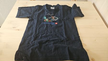 Cooles T-Shirt, Grösse 122-128, Motiv Grimselpass, Top!