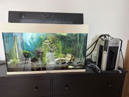 Aquarium mit Zubehör und Inhalt