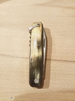 "Aegon" Horngriff Antikmesser um 1910-1940 Jahre. !SELTEN!