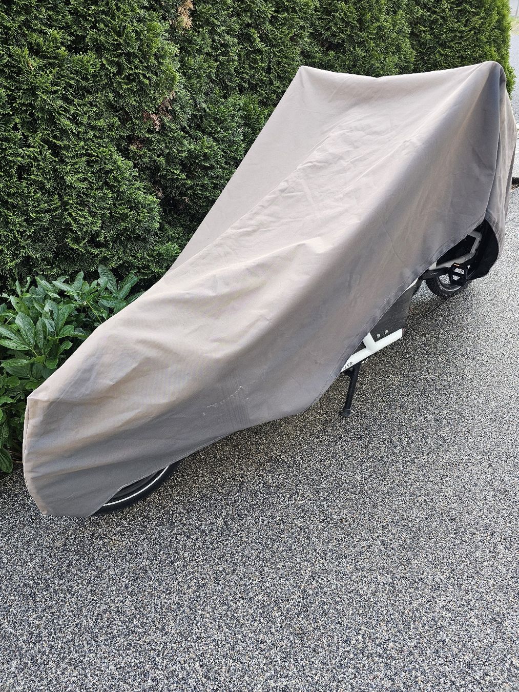Riese & Müller Biciclette: Lastenrad / Lastenvelo Riese & Müller – Usato da Wald ZH venduto da Grappe 2