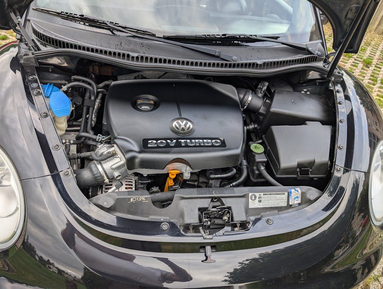 VW Automobili: New beetle 1.8 T – Usato da Yverdon-les-Bains venduto da 1447-arm 2
