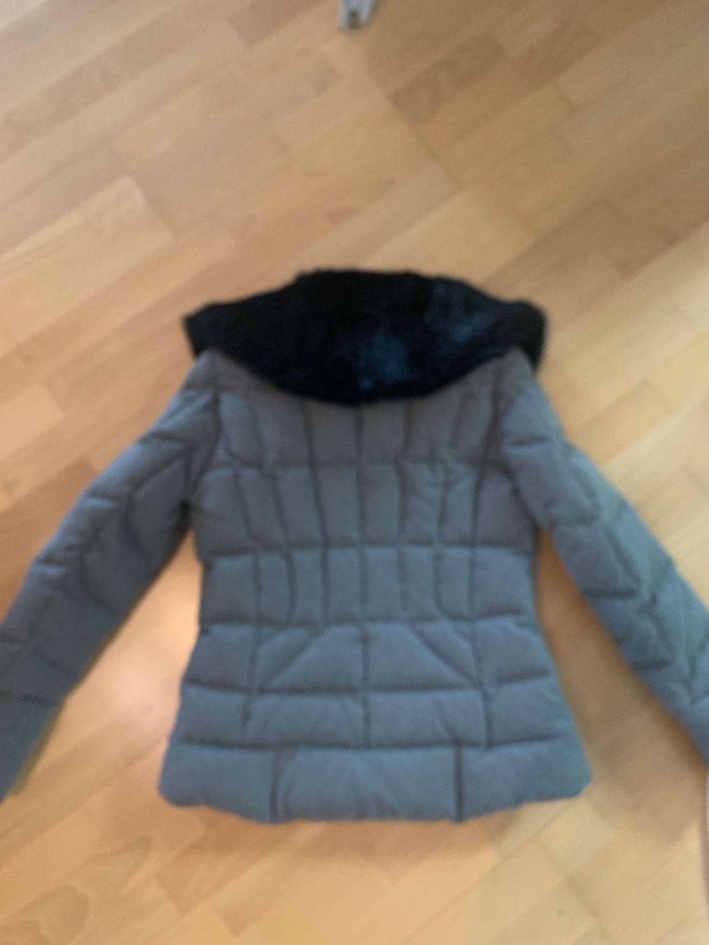 Vestes: Jacke von BLAUER – Neuf (Voir description) à Bubikon par bar_q8gz 2