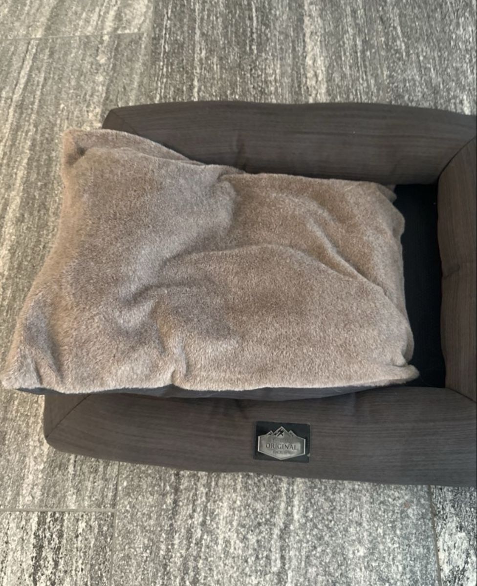 Cucce & Letti: Comfy & Warm Pet Bed for small dogs or cats – Nuovo (secondo la descrizione) da Sementina venduto da NinaDel 1