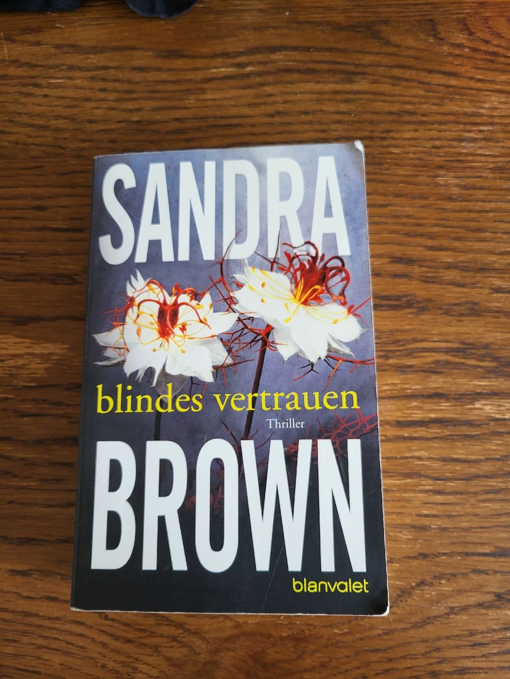 Libri: Sandra Brown - Blindes Vertrauen, spannender Thriller! – Usato da Zürich venduto da seja1234