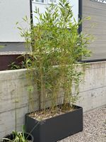 3 Eternit-Blumenkasten 45x99x44 mit Bambus