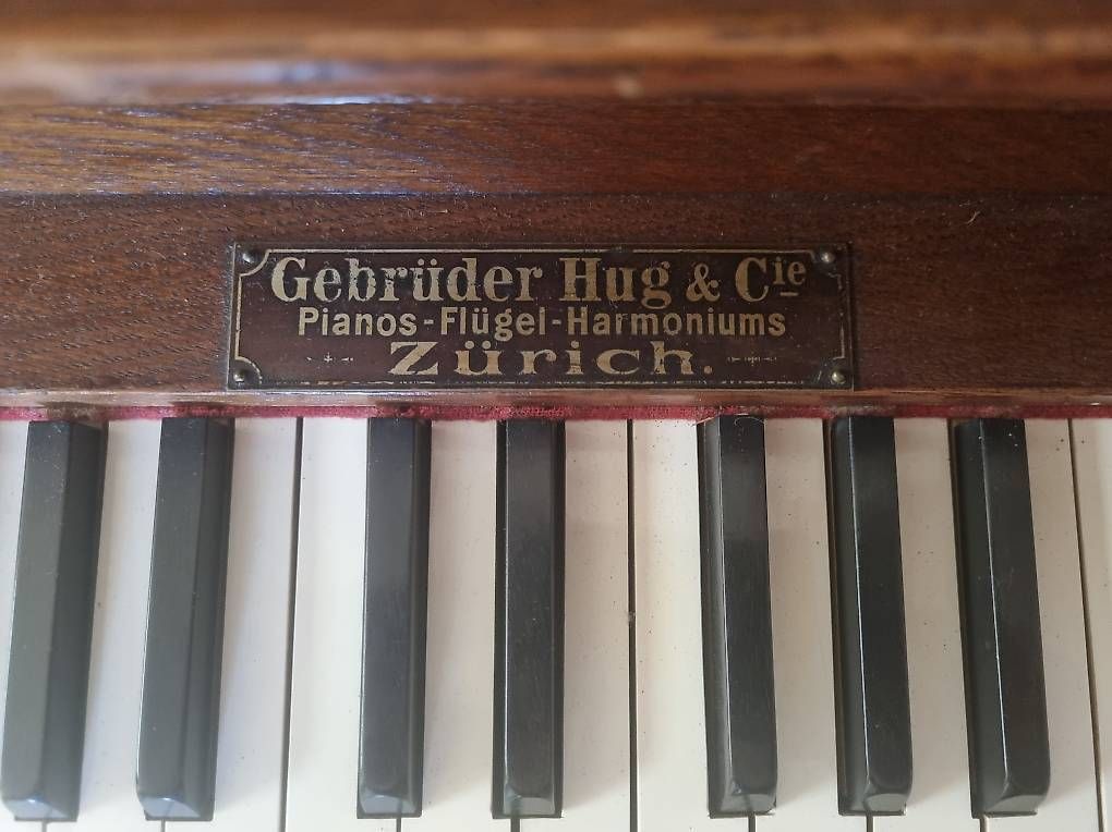 Strumenti musicali: Harmonium (2 Register) – Usato da Schüpfheim venduto da swissfries 1