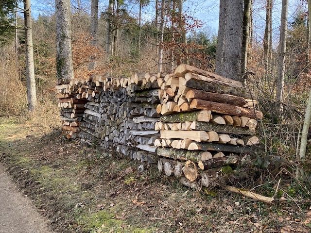 Articoli in legno: Brennholz (gemischt) – Nuovo e nell'imballaggio originale da Zuzwil BE venduto da habrio 2