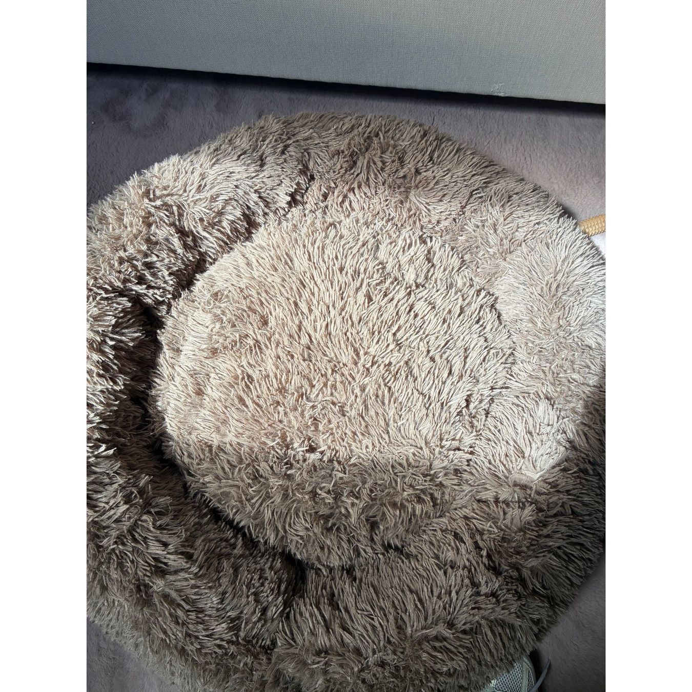 Cucce & Letti: Hundebett MrFluffy, beige – Usato da Tennwil venduto da Rohrdorferberg
