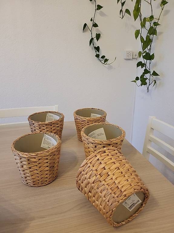 Vasi per fiori: Vaso per piante – Usato da Chiasso venduto da col_2ks8 3