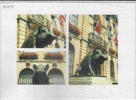 Le sanglier, embleme de Porrentruy