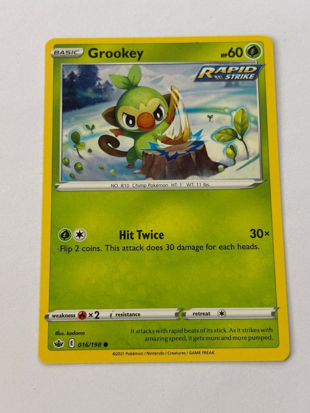 Pokémon Carte collezionabili: Grookey 016/198 – Usato da Herisau venduto da Seyashop_2