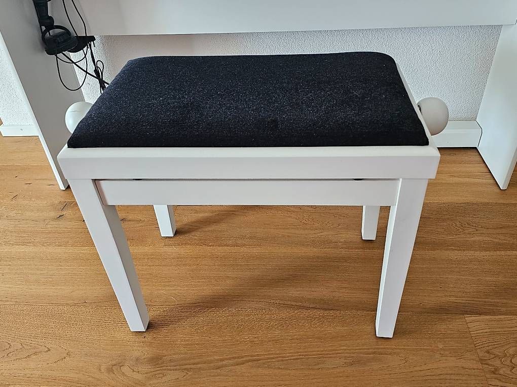 Strumenti musicali: Roland E-Piano FP30 – Usato da Vitznau venduto da jas_5vwc 3