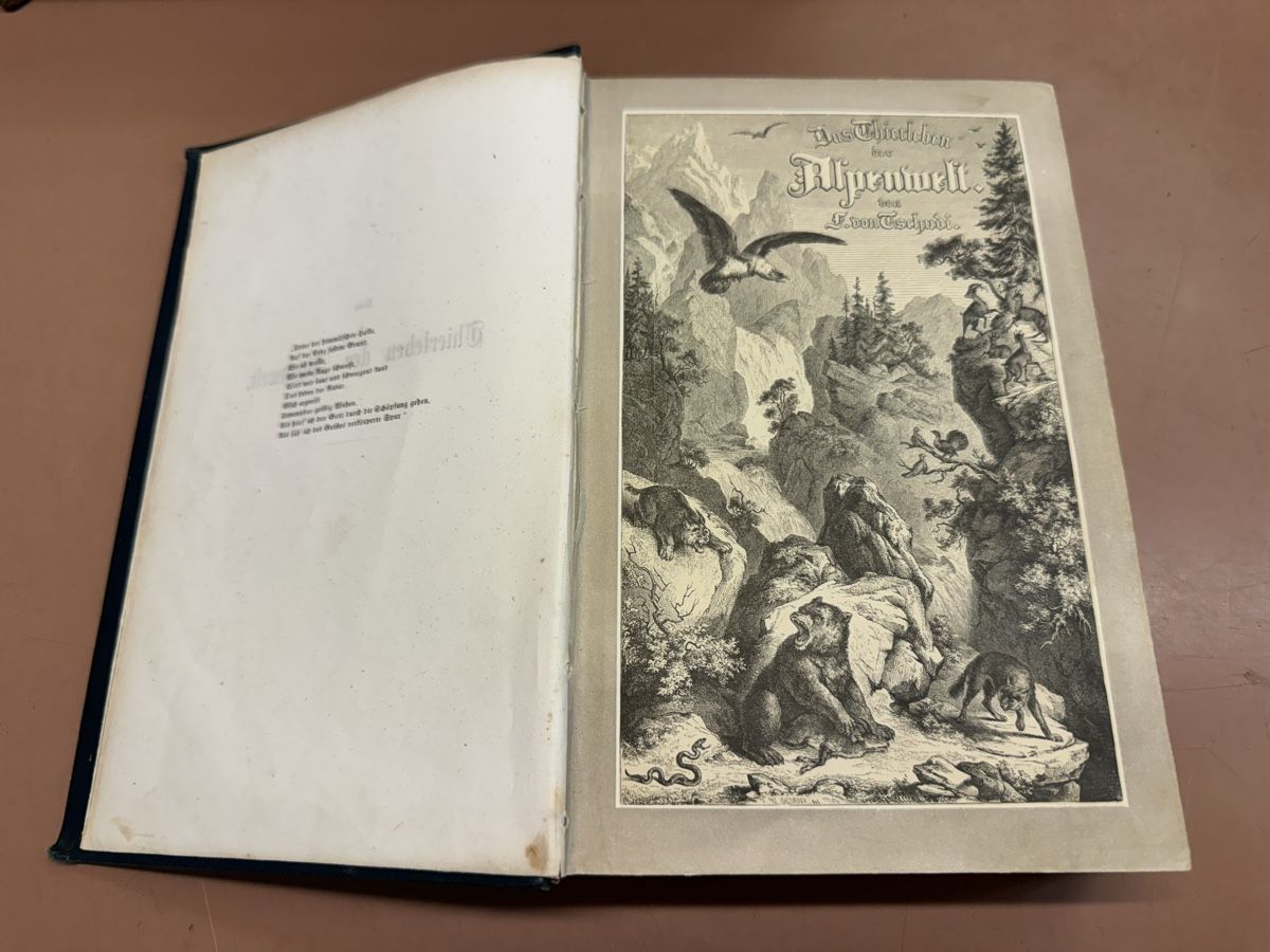 Libri: Buch Das Tierleben der Alpenwelt  1858 – Usato da Chur venduto da Meriva0 3
