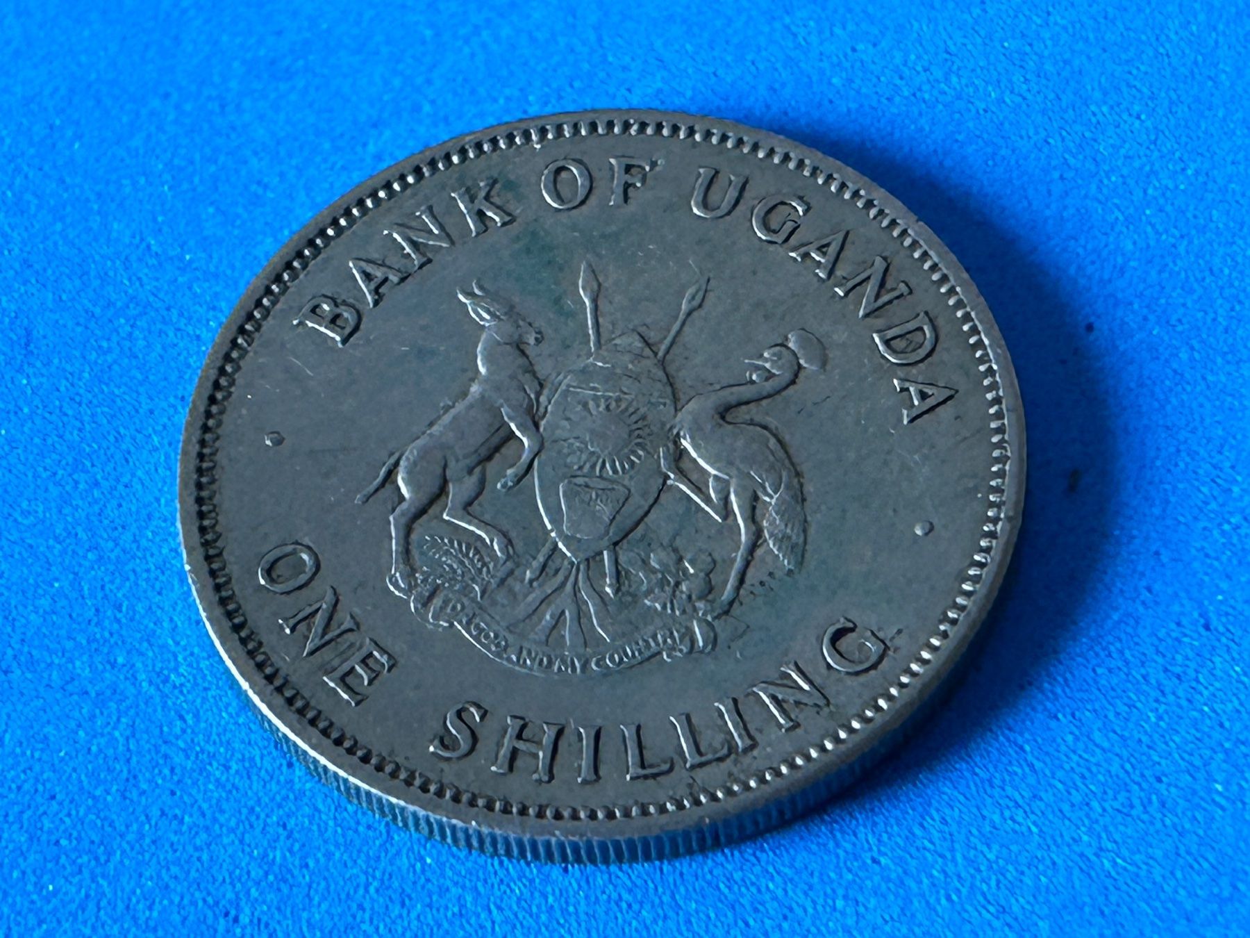 Alle Münzen: Uganda - 1 Shilling 1966 – Gebraucht aus Corcelles NE von AJKader 3
