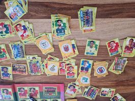 Panini World Cup 2026 Sticker