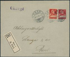 1914 - Privatganzsache - Briefumschlag - MeF - Tellbrustbild