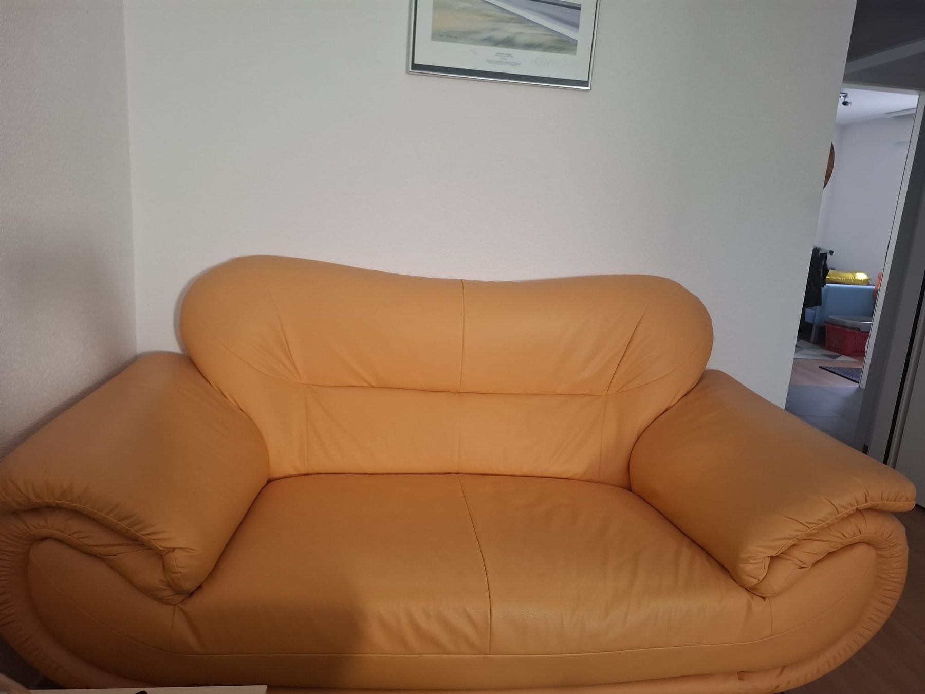 Sofas: Divano 2 posti – D'occasion à Fribourg par lor_8wrj