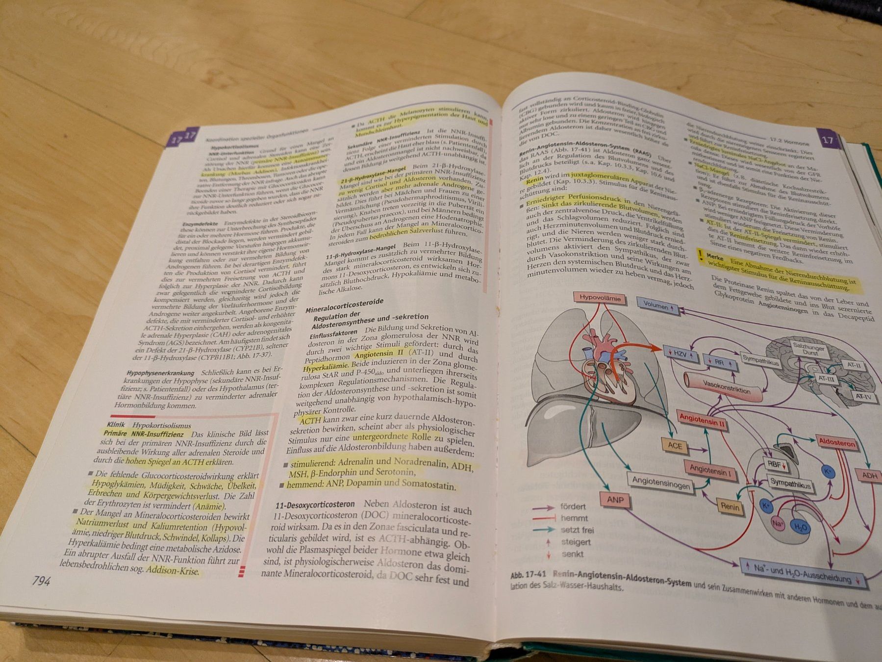 Libri: Physiologie, 4. Auflage – Usato da St. Gallen venduto da Lila_238 2