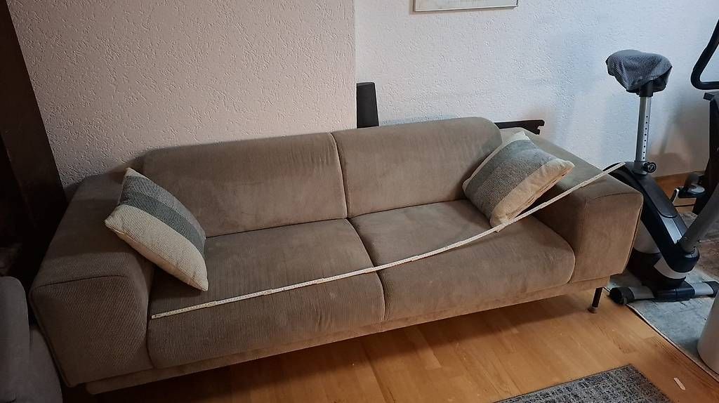 Pfister Sofas: Einzelsofa von Pfister, 230cm – Gebraucht aus St. Gallen von Bitmaster 1