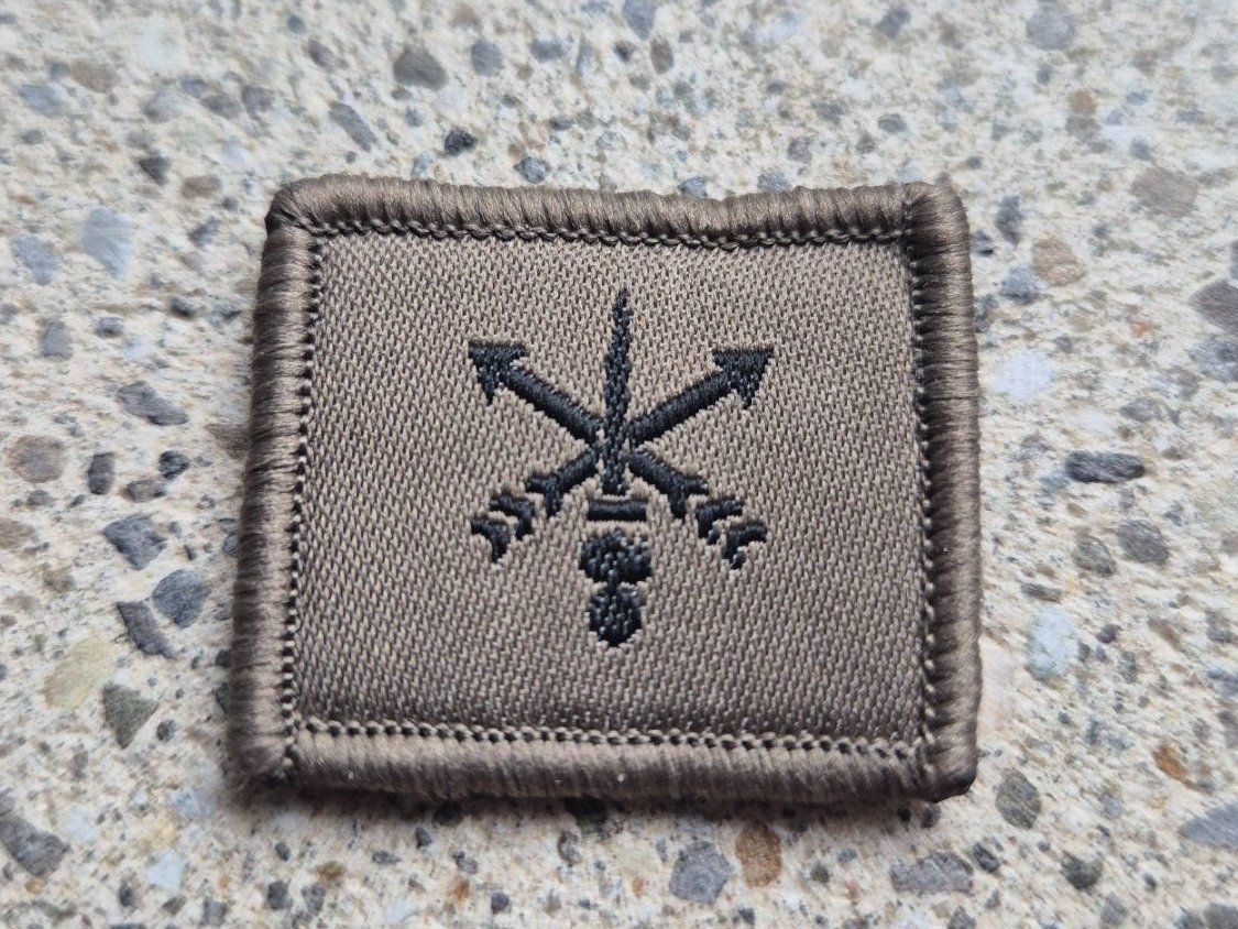 Schweizer Armee Placchette & Badge: *** Funktionsabzeichen AAD10 mit klett *** – Nuovo e nell'imballaggio originale da Riedholz venduto da fr_sIruP 1