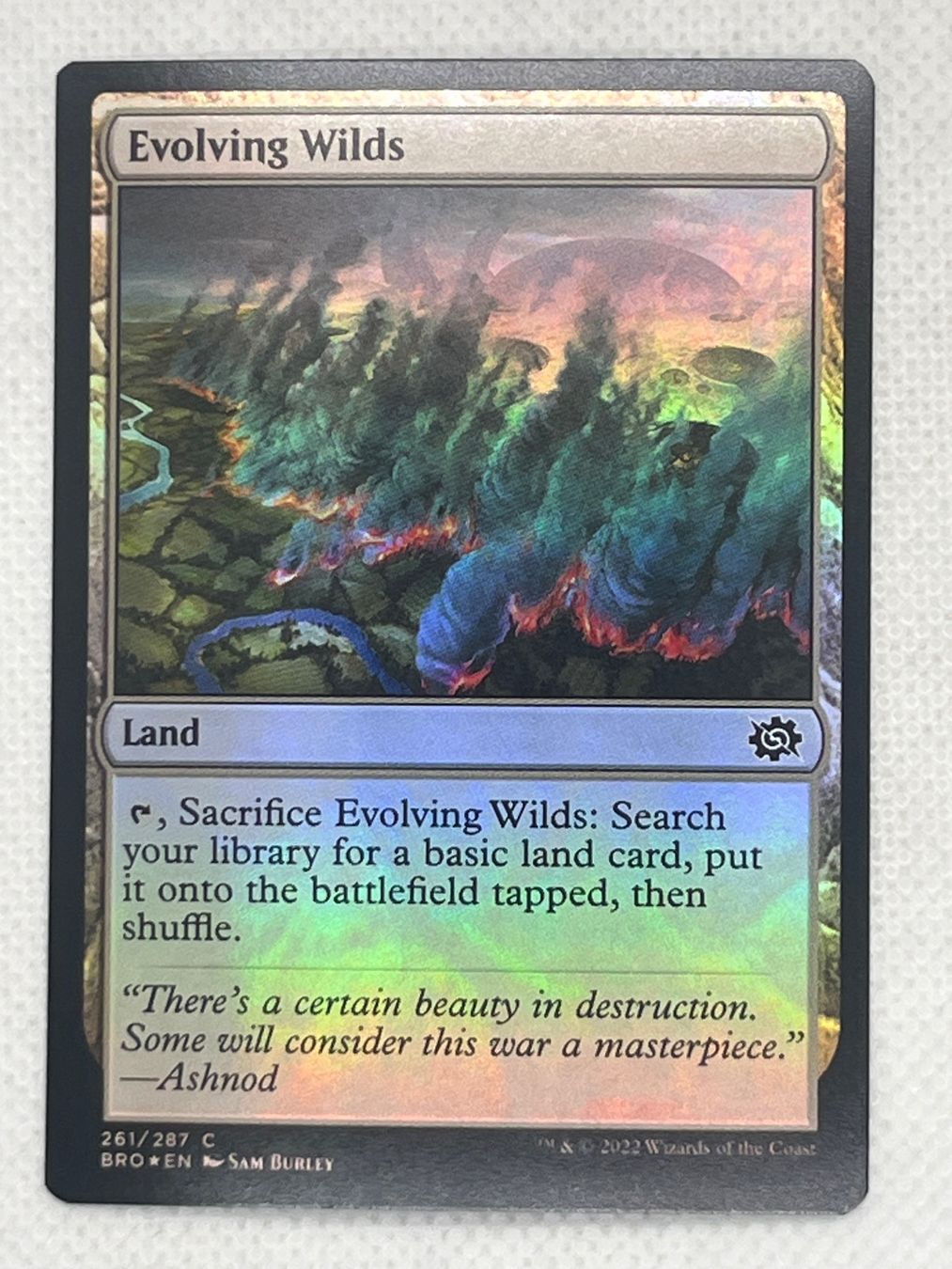 Magic The Gathering Carte collezionabili: Magic the Gathering MTG Foil Evolving Wilds, Near Mint – Usato da Hinterkappelen venduto da Kim1992