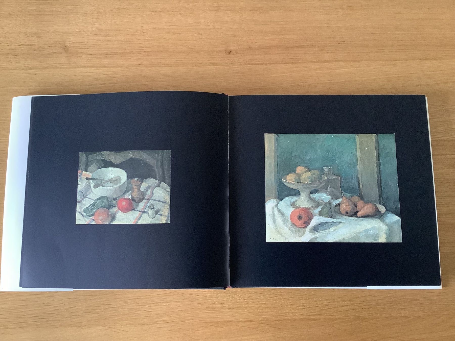 Libri: Albert Enz - 1909 - 1982 - Kunstbuch limitierte Auflage – Usato da Bassersdorf venduto da F-104fan 1