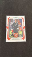 Sammelkarte - Edwin van der Sar - Daka - Niederlande