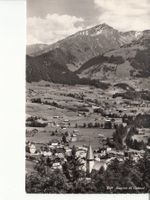 Saanen 1964