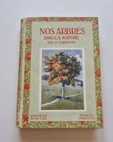 1920 - Nos arbres dans la nature
