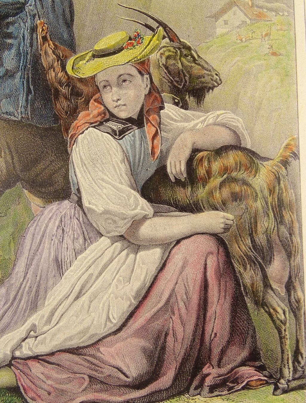 Incisioni: MEIRINGEN ZIEGENHIRTE, LITHOGRAPHIE – Usato da Grüningen venduto da Kartensammler 4