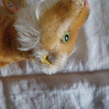 Steiff Spielzeuge: Junglöwe Steiff 14 cm gross – Gebraucht aus Abtwil SG von luupsy 4