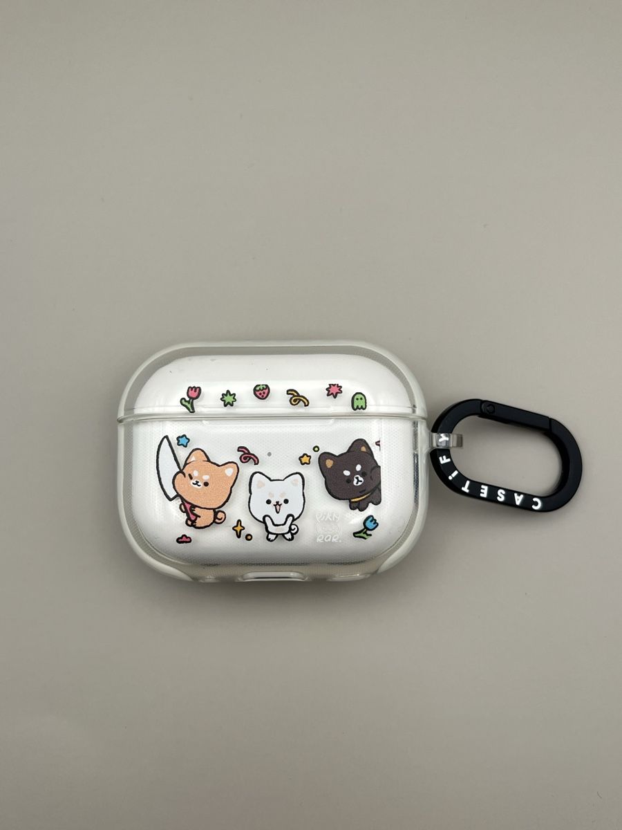 Cover & Protezioni schermo: Casetify AirPods Pro Case – Usato da Bern venduto da RussianDoll