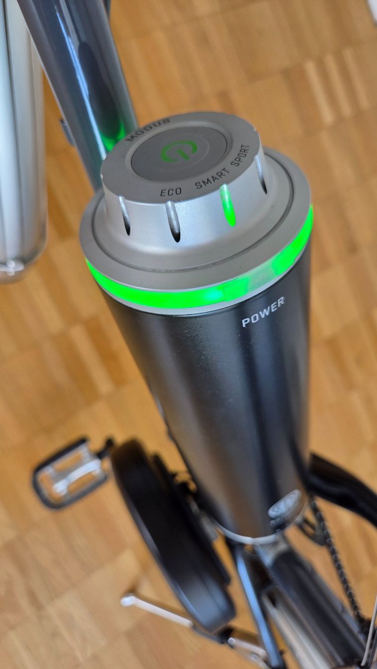 Biciclette: Mini-Velo Bonnet Noir Alize + Pendix E-Antrieb – Usato da Zürich venduto da pixelixi 4